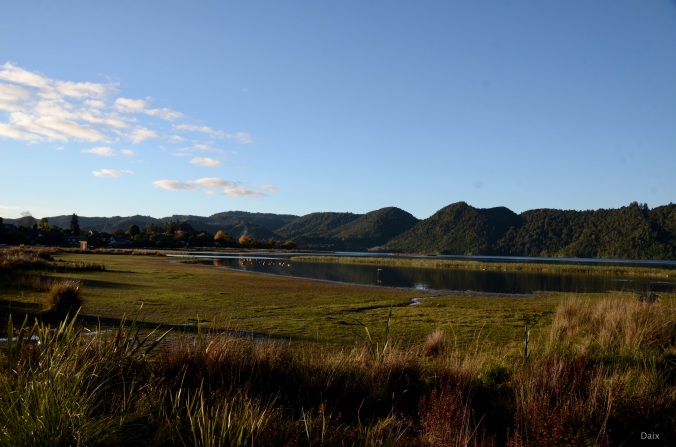 Rotorua Walks (6)