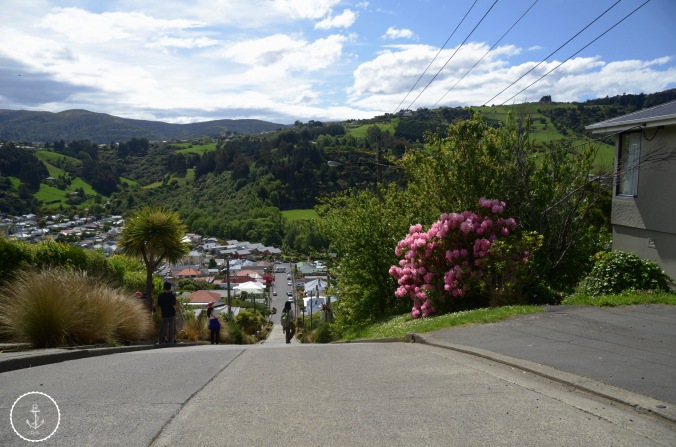 Baldwin-Street-Dunedin-New-Zealand